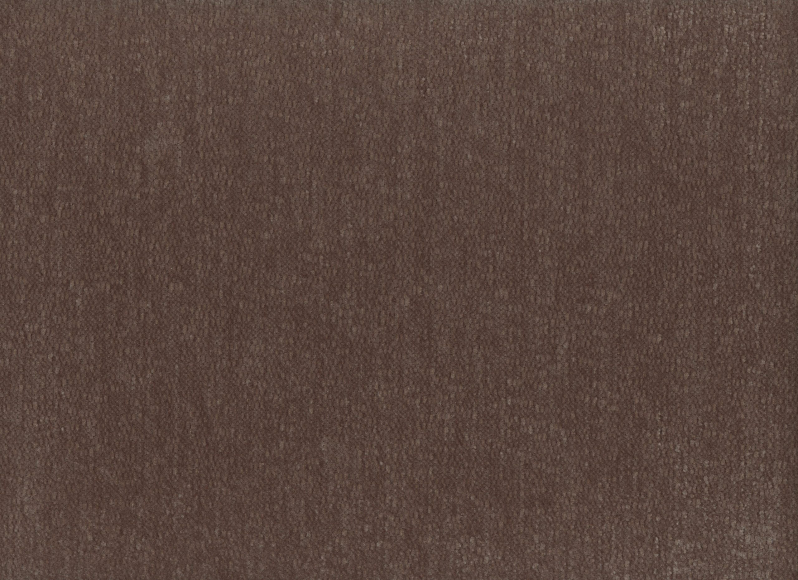 vivea 08 brown